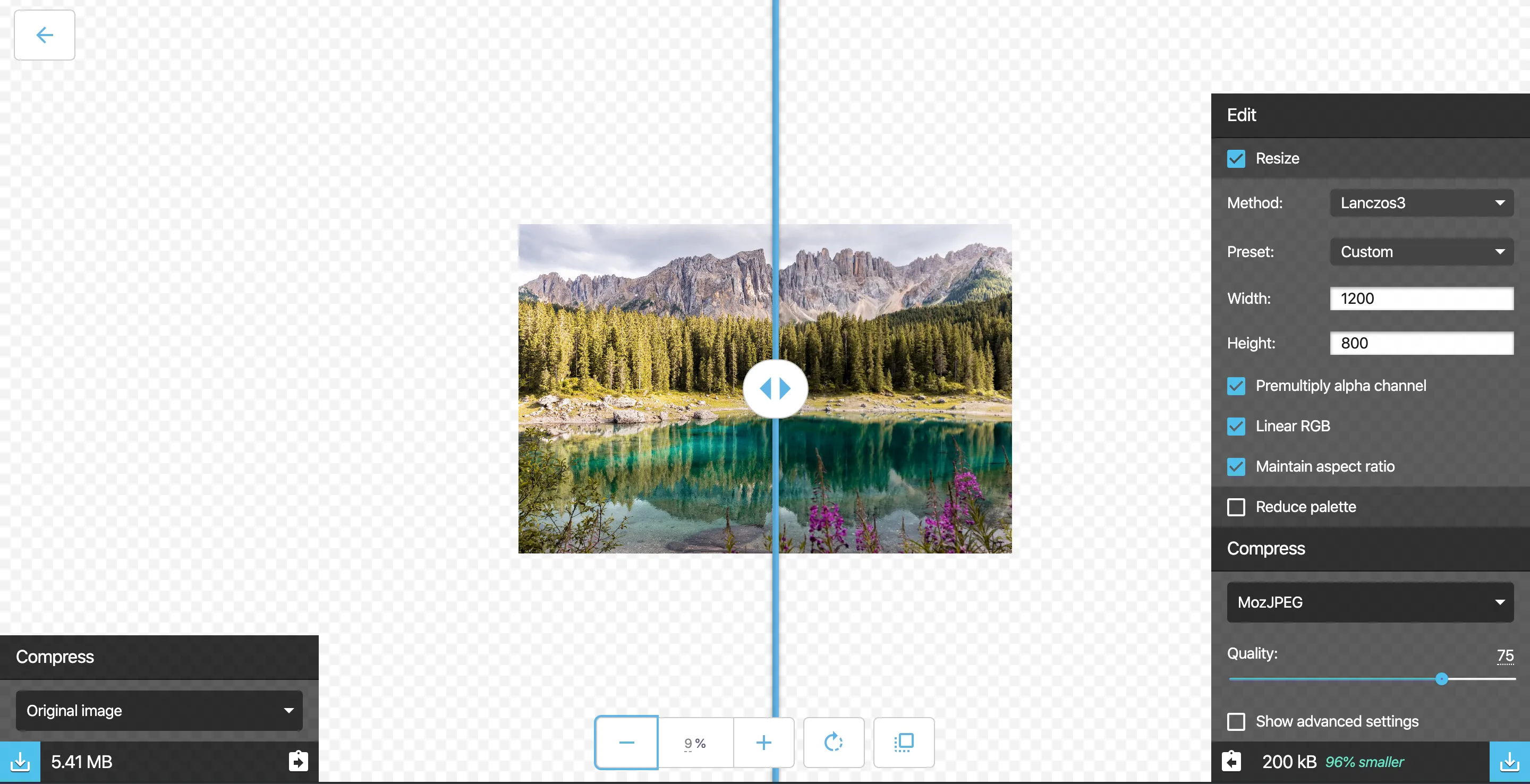 Screenshot of an image resized on Squoosh.app